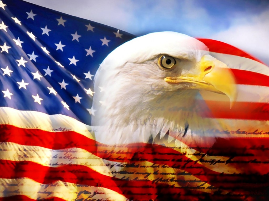 bald_eagle_head_and_american_flag